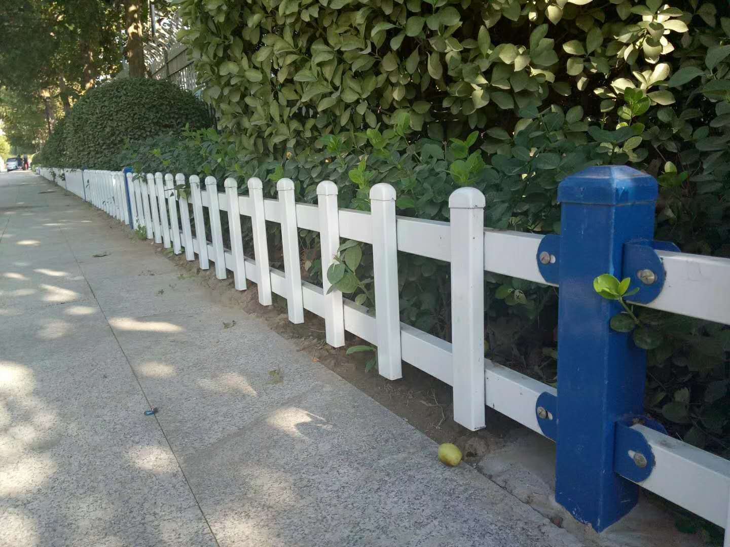 庭院社区塑钢护栏